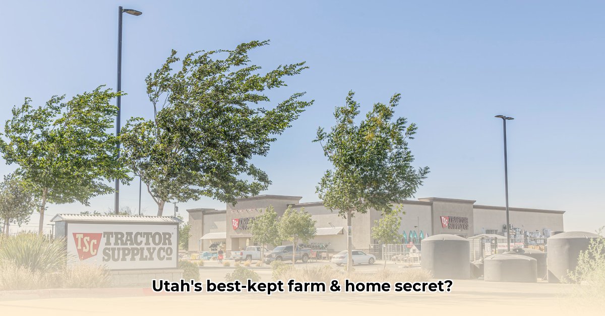 tractor-supply-brigham-utah